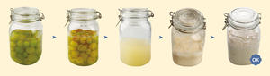 各种各样的天然酵母的做法 步骤8