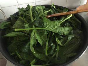豆豉豆泡菠菜煲·斋菜的做法 步骤1