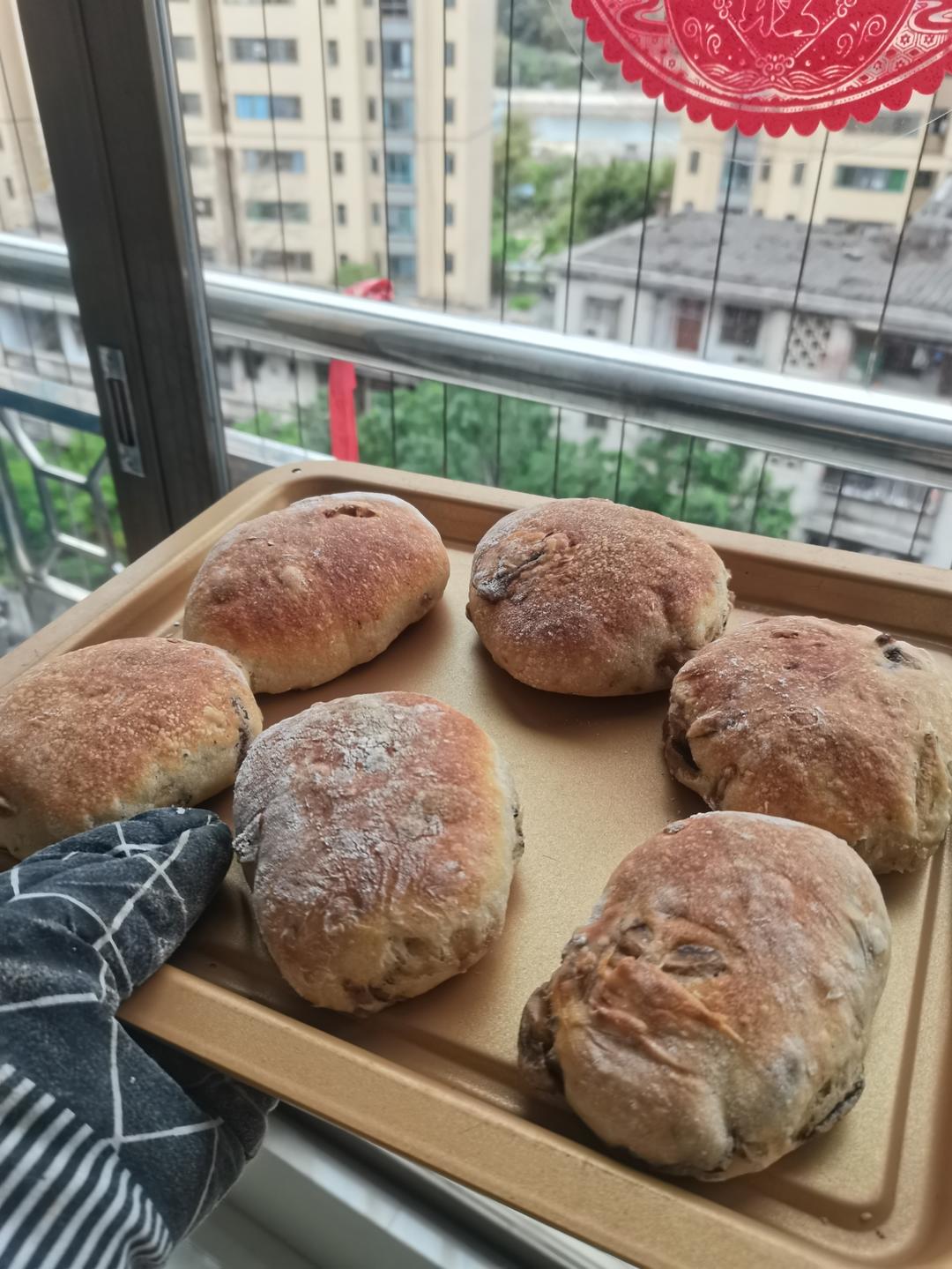 波兰种菌菇恰巴塔
Ciabatta