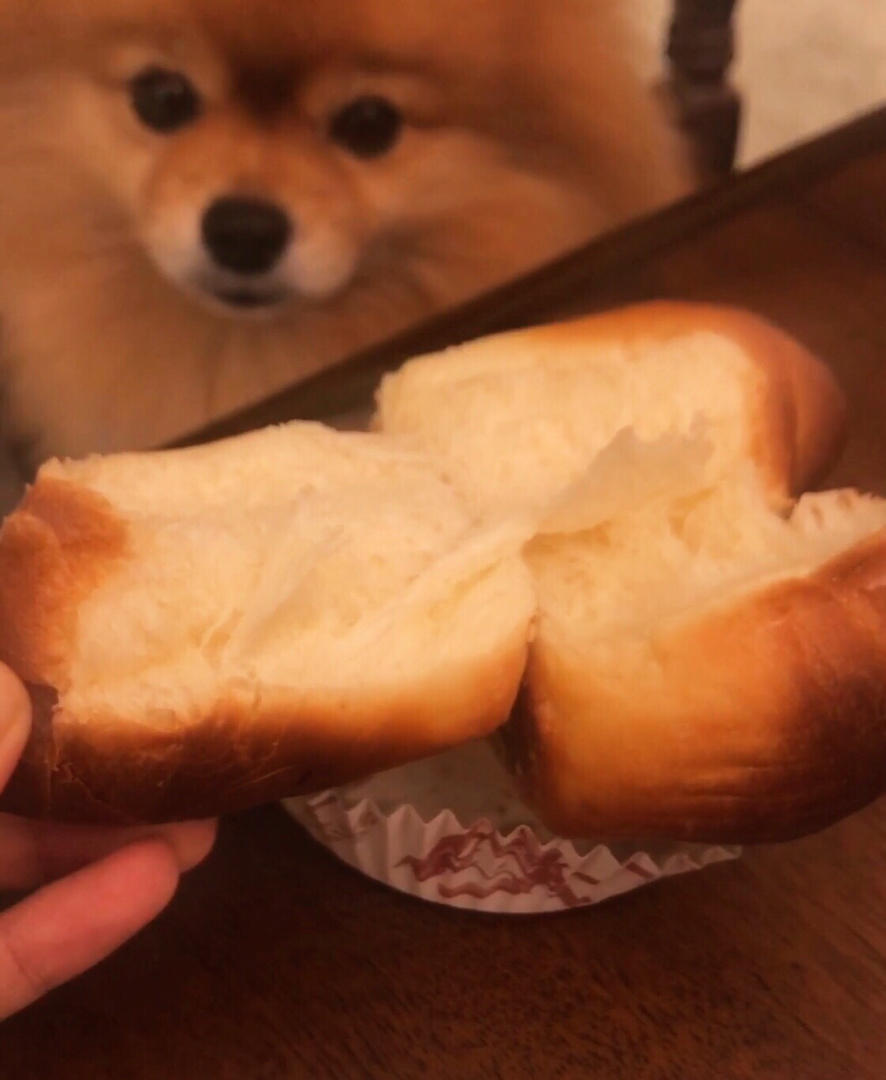 软到不知所措的牛奶卷