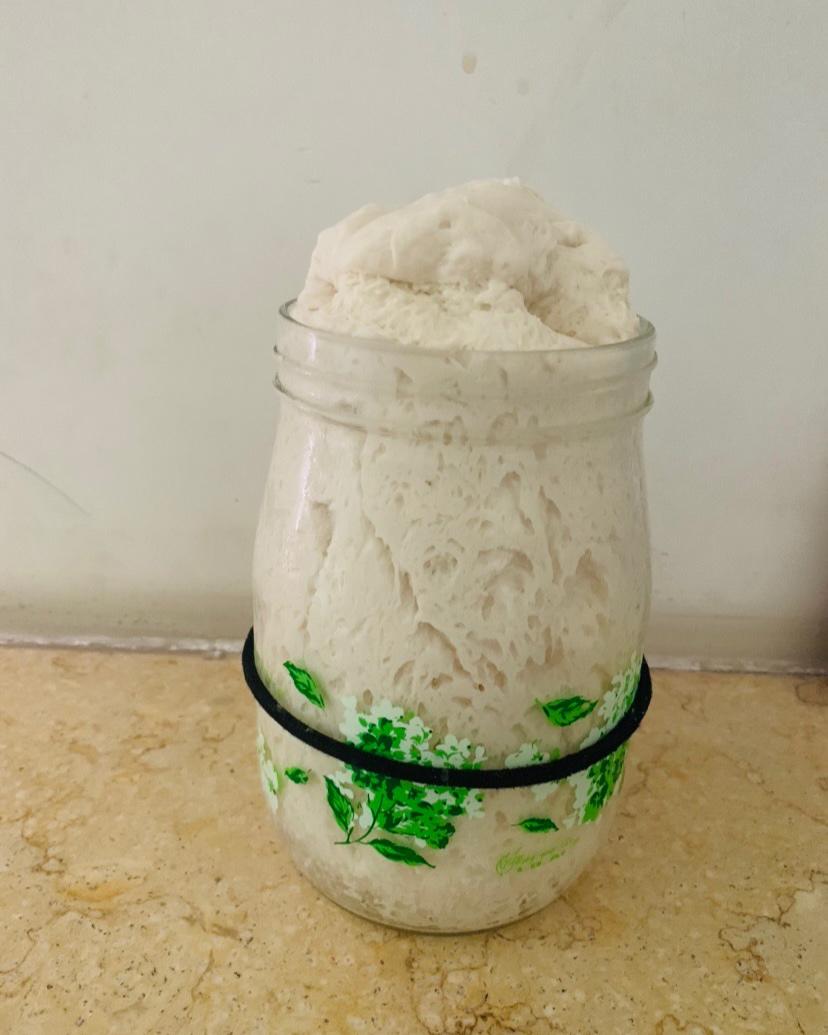 面包天然酵母培养使用全攻略                                           （葡萄天然酵种）