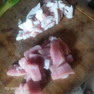 手撕白菜烧肉炖粉条的做法 步骤1