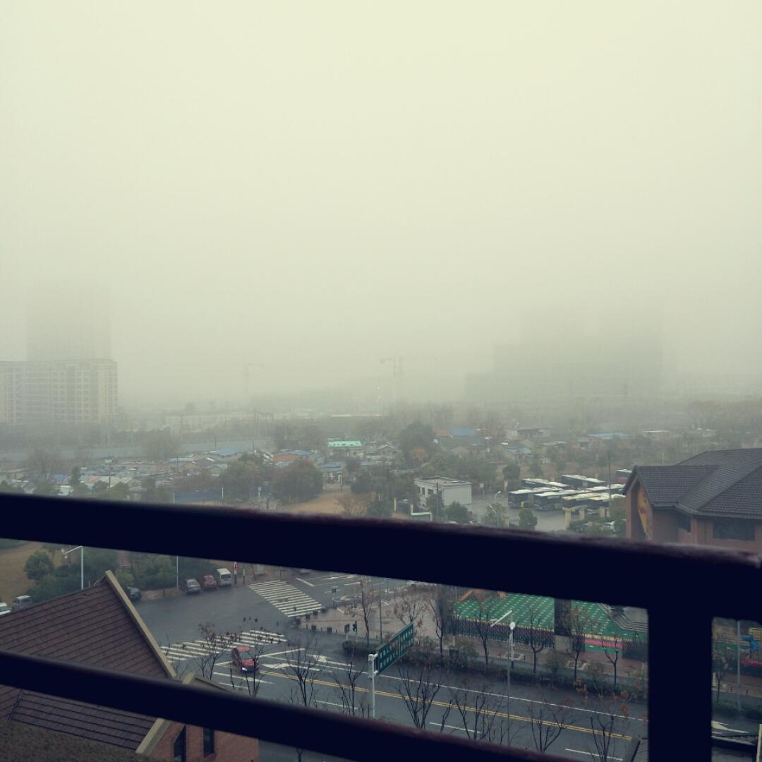 湾湾之星