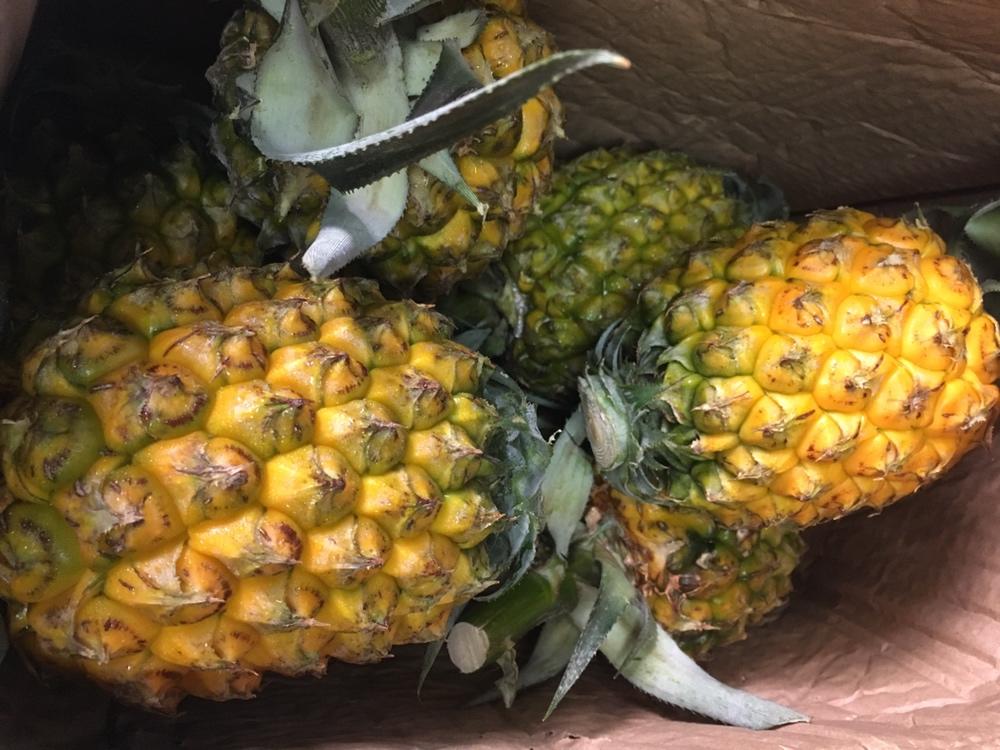 双合濑粉