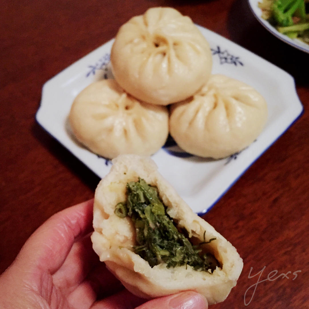 yexs做的茴香苗猪肉包子