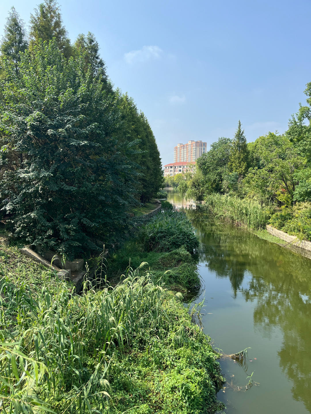 妈妈的南瓜发面饼的做法