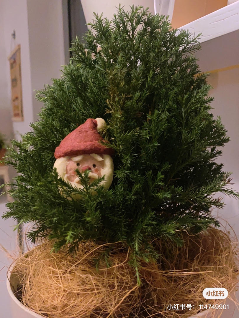 无需模具❗️ 卡通🎅🏻圣诞老人饼干