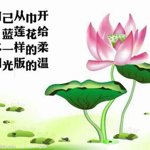 馨宝贝521