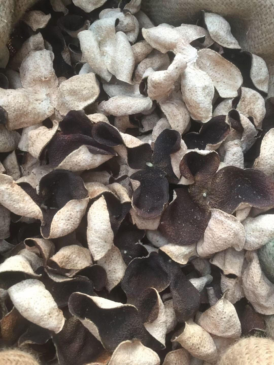 新会一线产地茶坑陈皮制作篇