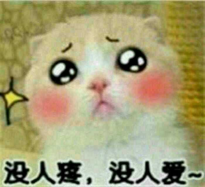 ┞┱低頭、偲惗ㄡㄜ