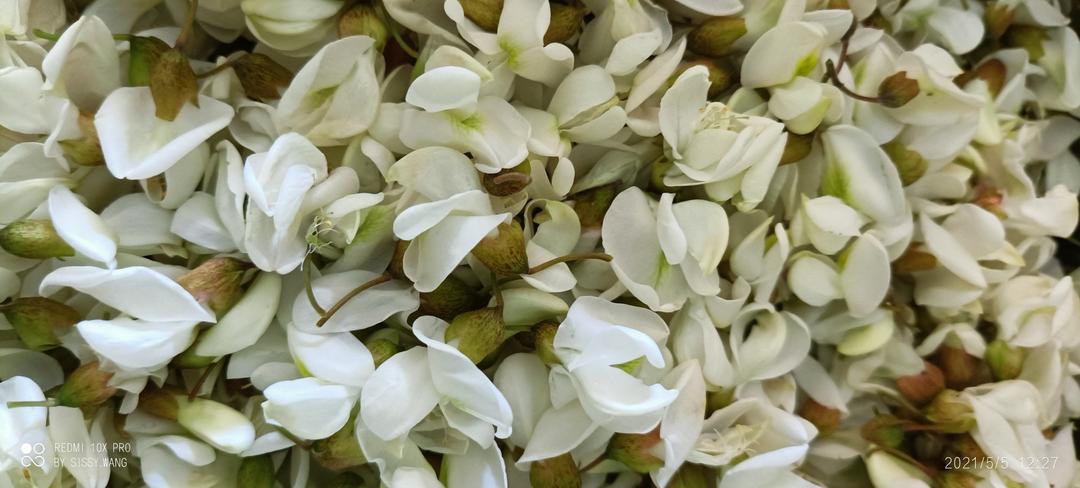 槐花拨烂子（先蒸后炒保留原味）