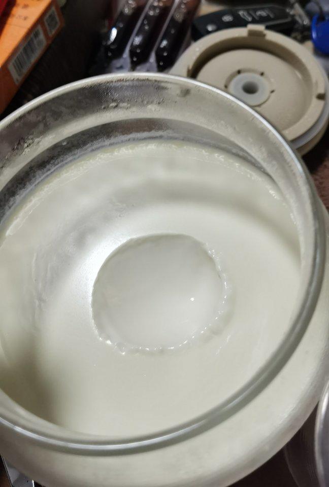 淡奶油酸奶（爱乐甜零卡糖粉）