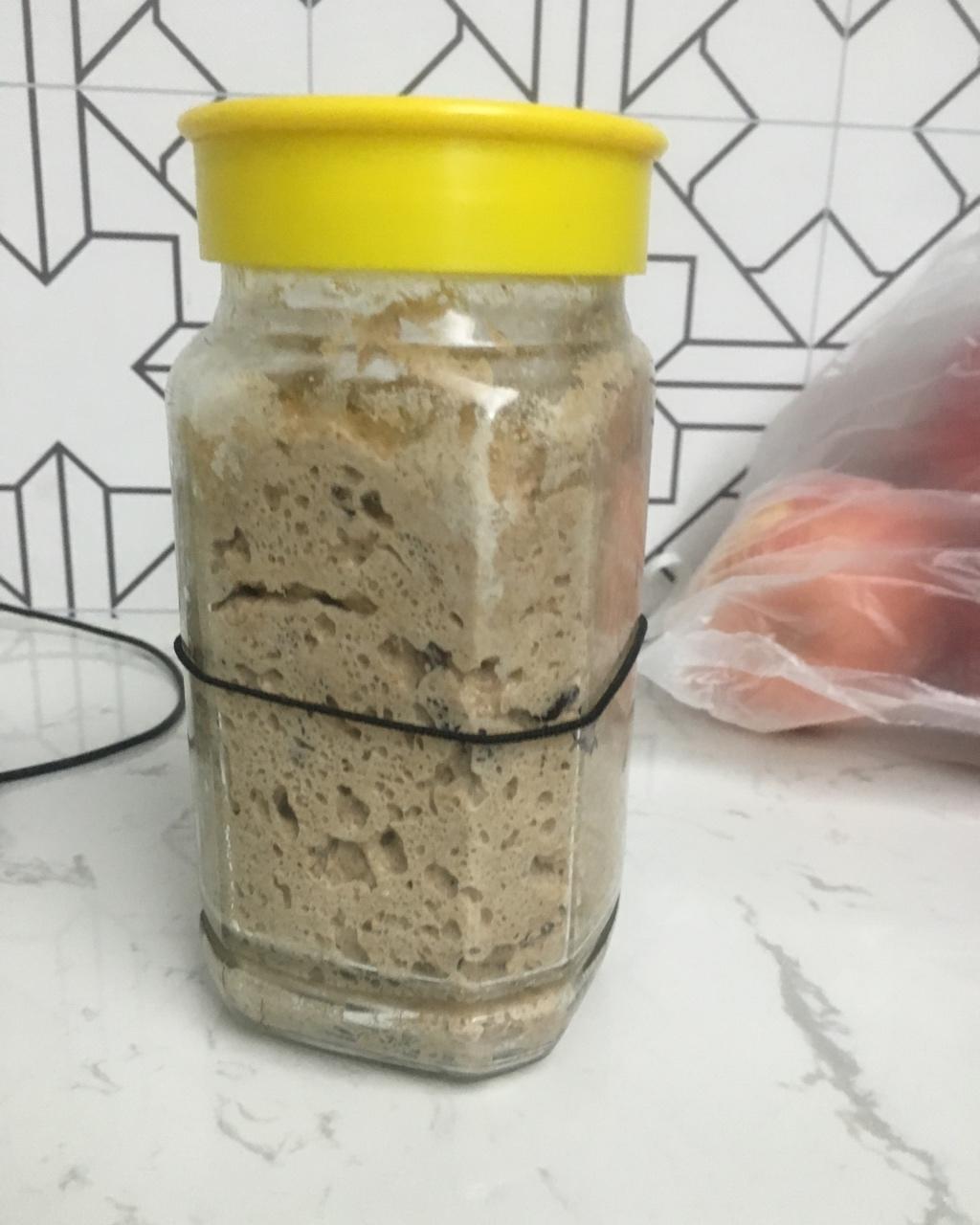 天然酵母宝宝养成记