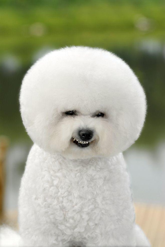 青馋口小份烤鱼