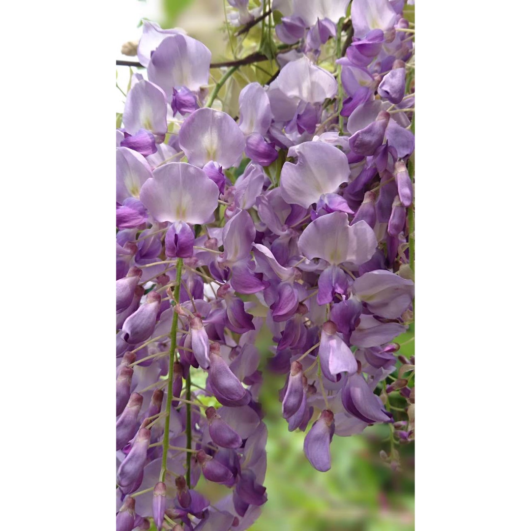 没有美食的时候，就来点美景