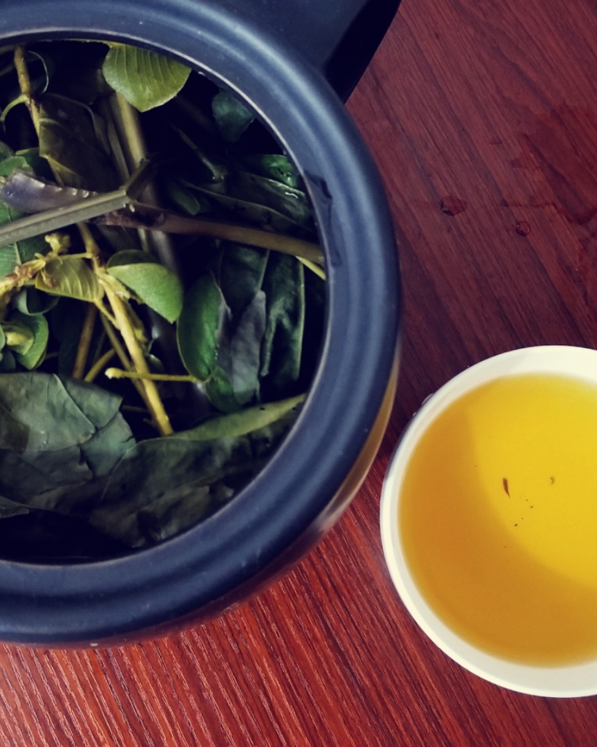 【南方凉茶系列】1「金钱草车前草茶」清热利湿通淋的做法 步骤3
