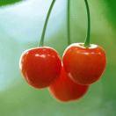 手机用户3782_n75x