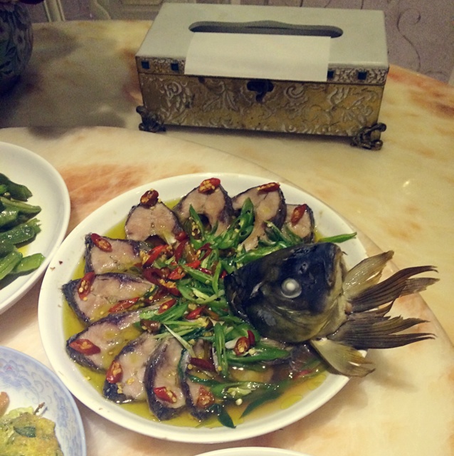 孔雀开屏鱼.