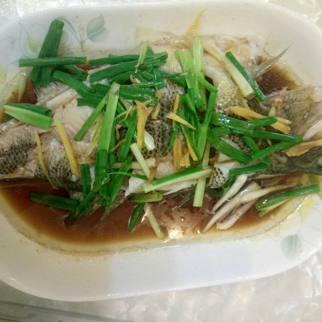 超入味清蒸鱼～清蒸鲈鱼桂花鱼（家常独创）