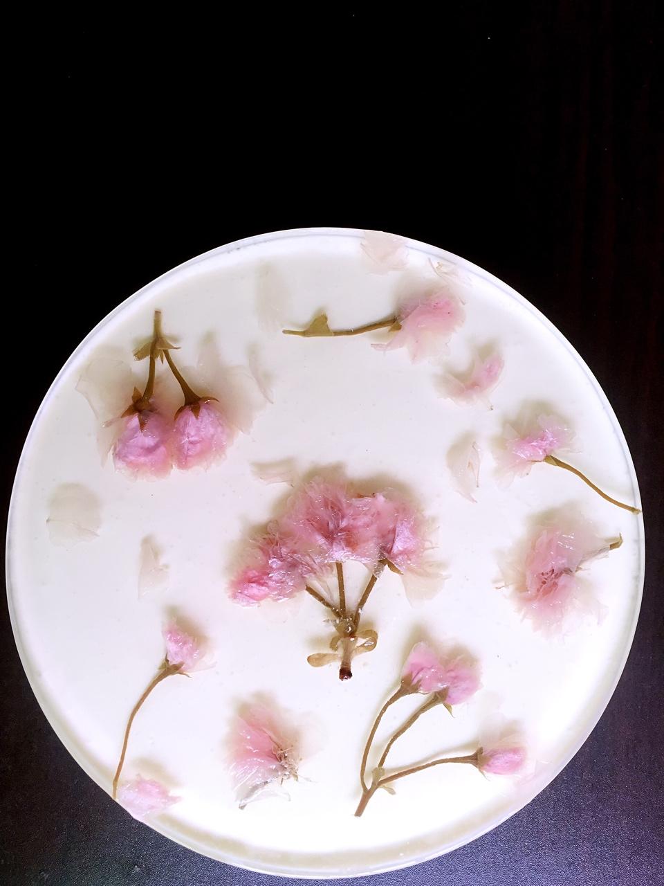 樱花酸奶慕斯蛋糕（免烤）