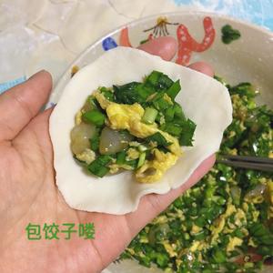 韭菜虾仁鸡蛋饺子的做法 步骤4