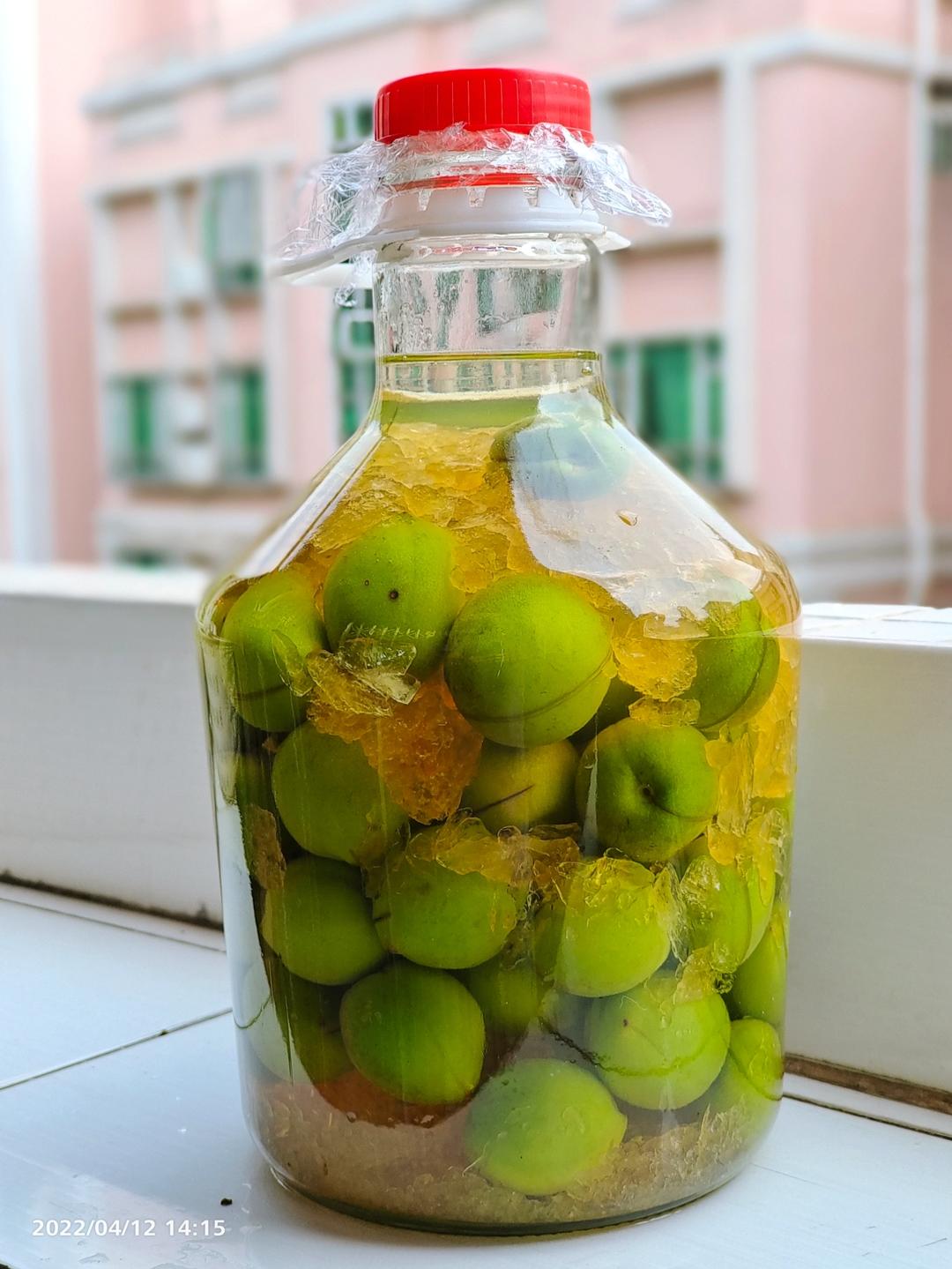 【青梅酒】梅子的沉醉时光（已填坑）