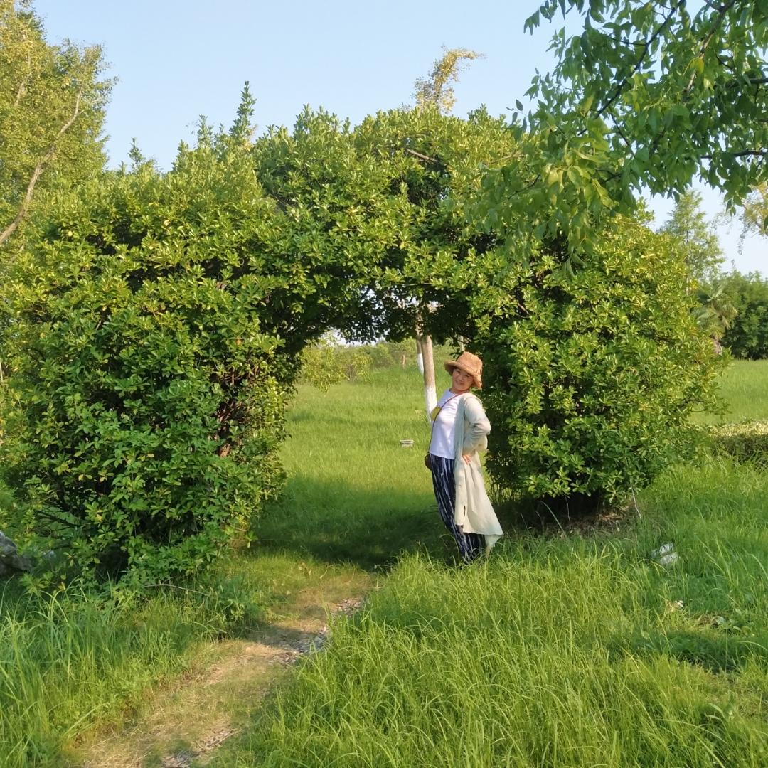 下厨房用户_68pmb