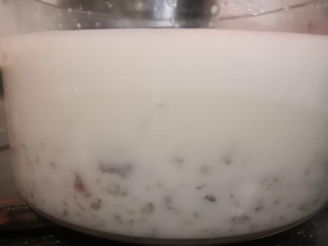 牛奶炖桃胶