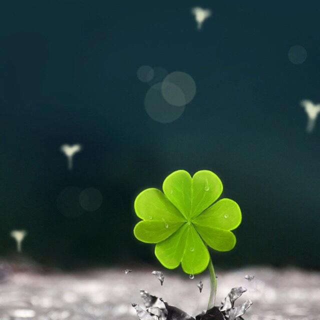 手机用户9923_1rn6