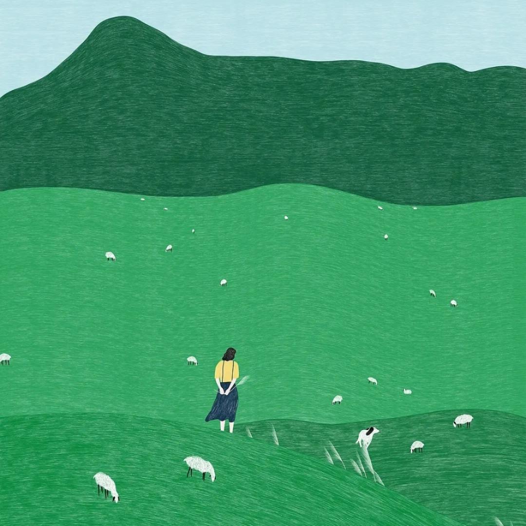 一个发霉的普雷结