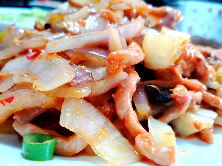 洋葱炒肉丝～～～是要放豆瓣酱的地道盐帮家常菜做法的做法