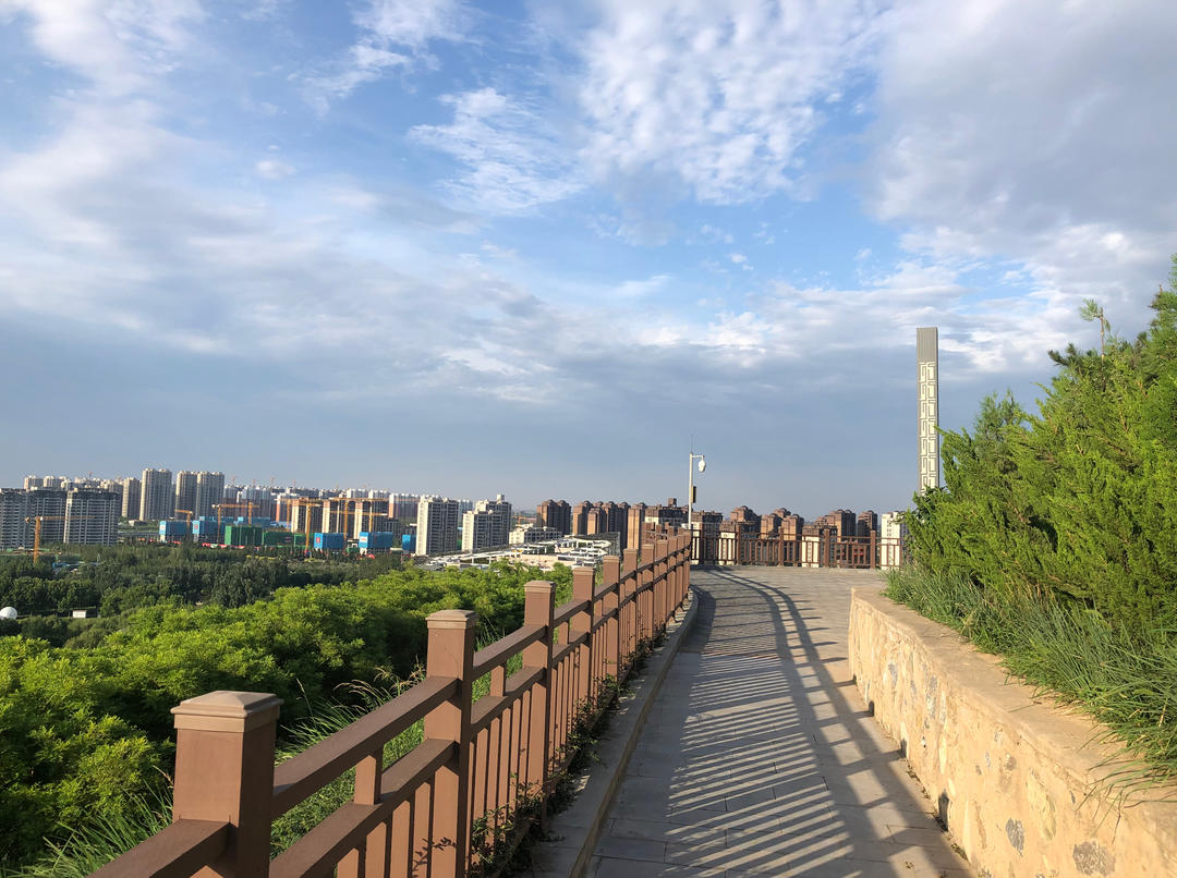 嘟儿饲养员