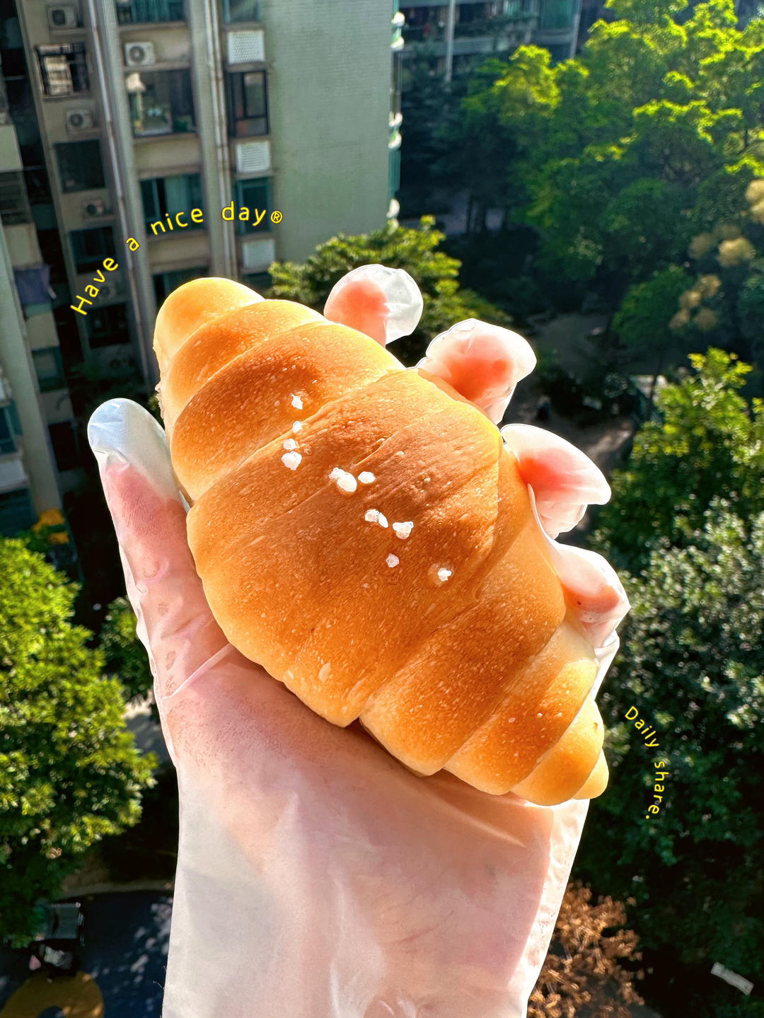 日式海盐面包卷