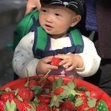 威廉的妈咪