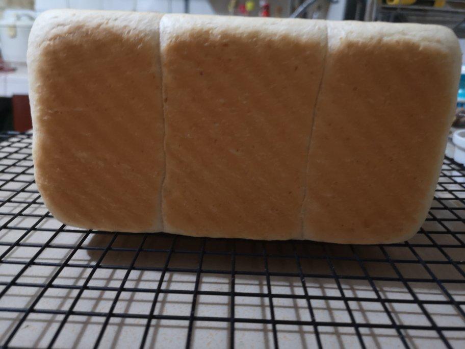 手揉全麦吐司🍞（轻松到哭泣的💧水合法）