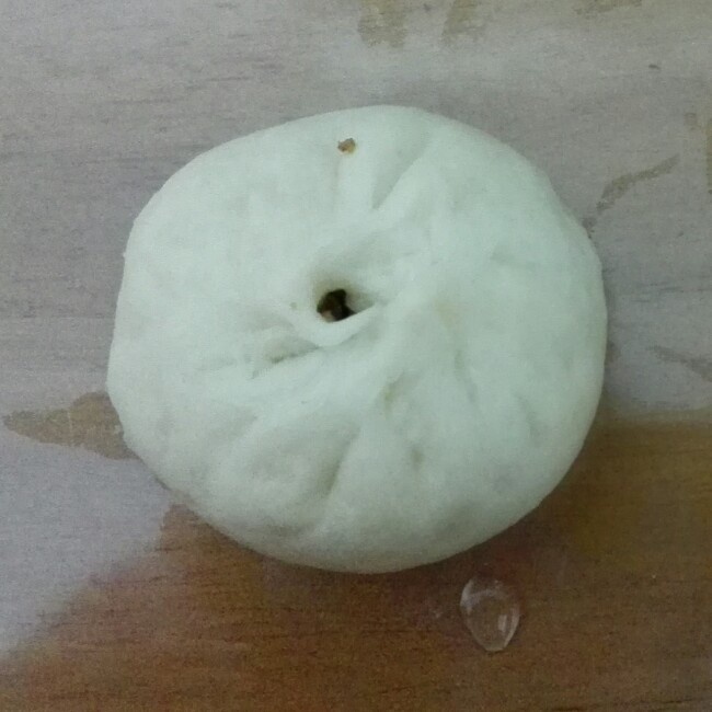 家常蒸包子（新手必学 超详 各式花卷馒头适用）