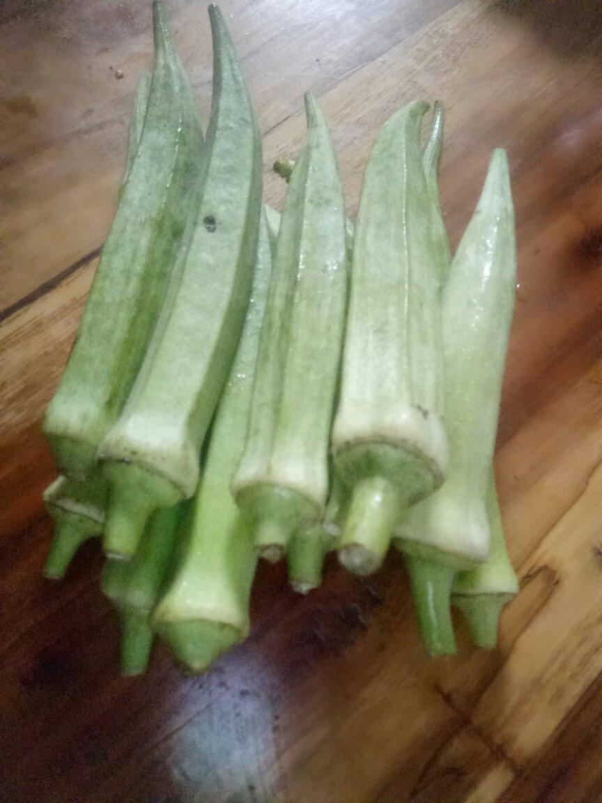 颜值控-做一朵开在碗里的花秋葵蒸水蛋