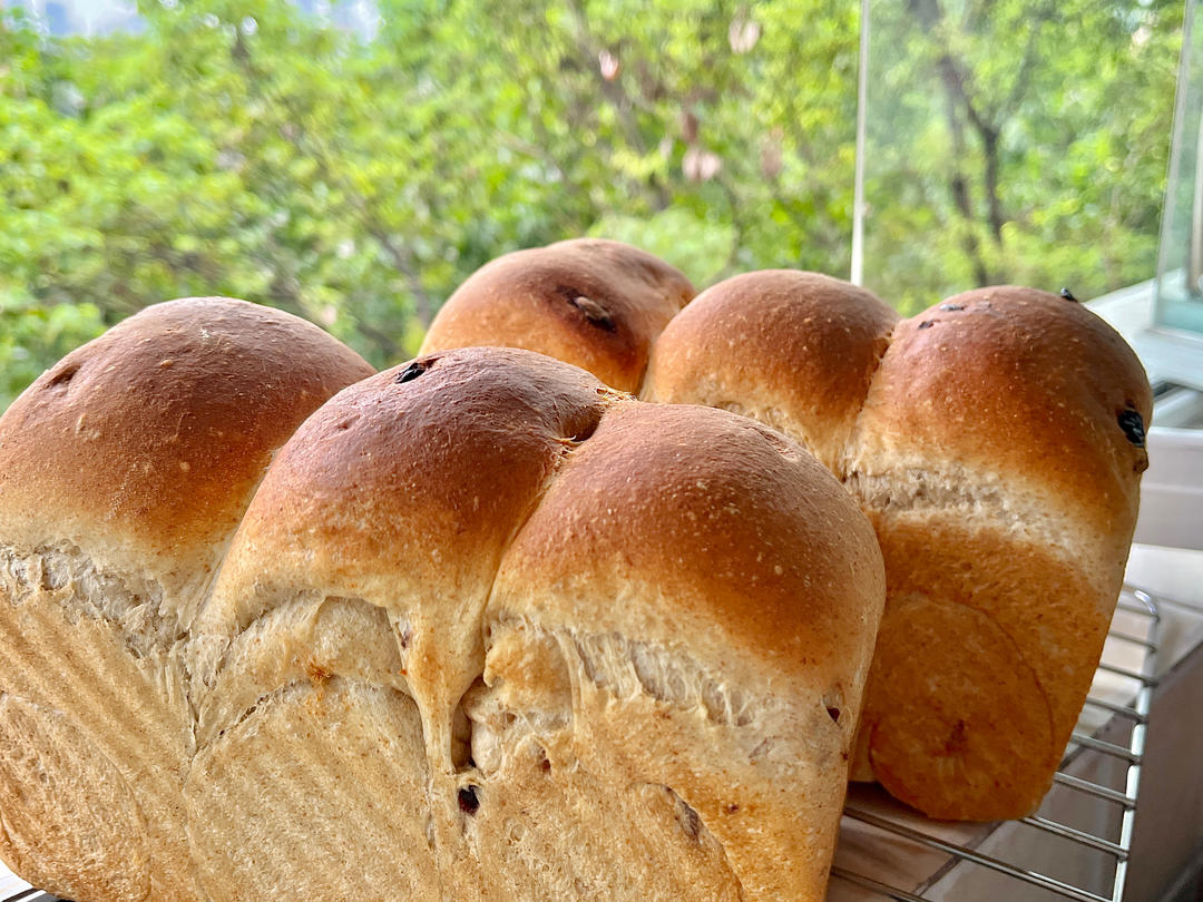 50%全麦吐司｜低糖低脂，吃起来不像是吃全麦的全麦吐司！