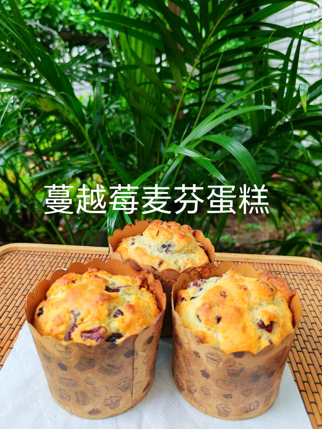 蔓越莓麦芬蛋糕