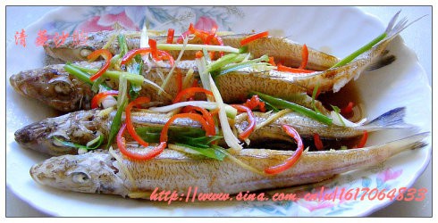 清蒸沙鮻鱼