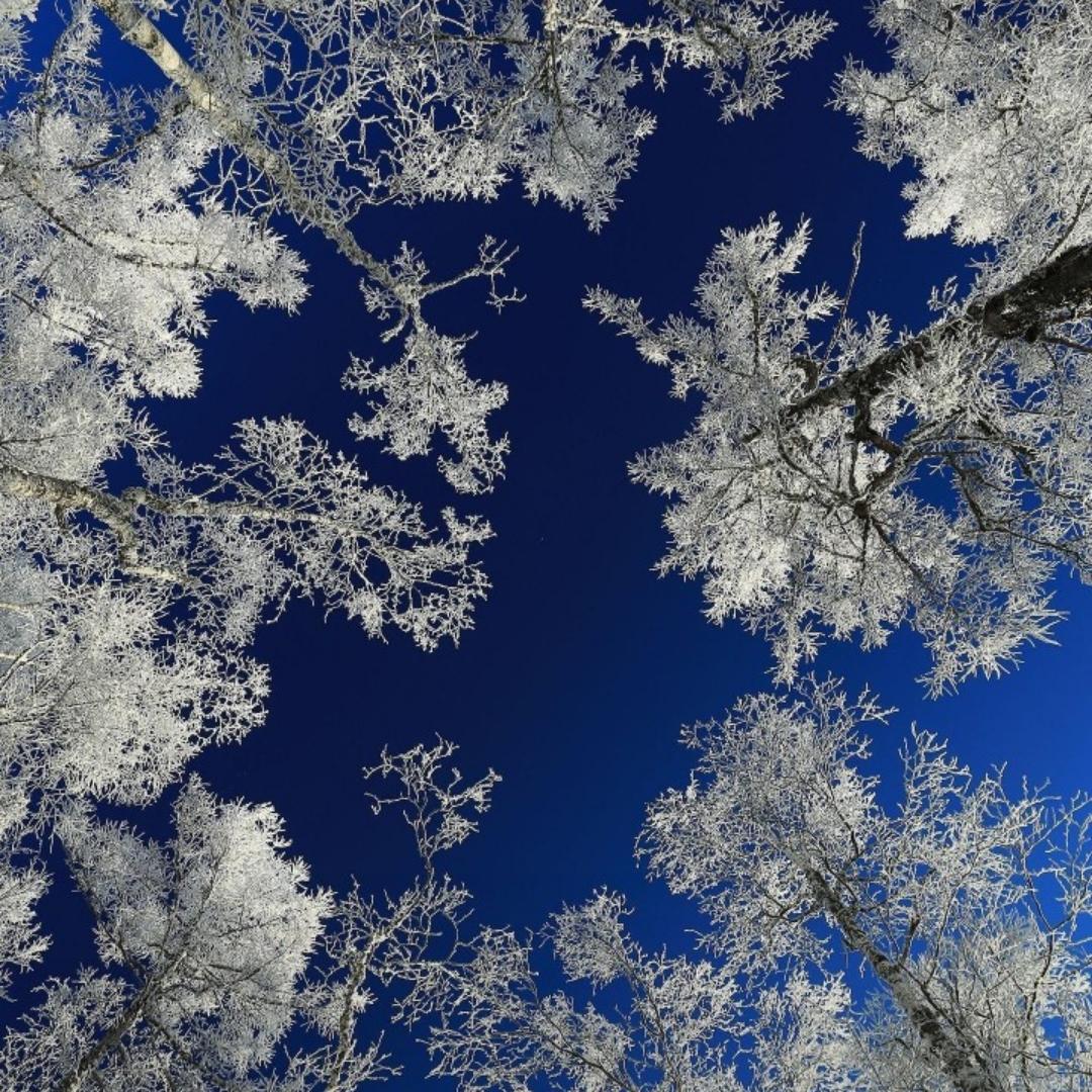 春雨夏荷秋风冬雪