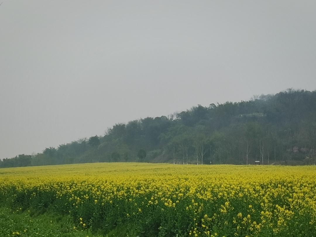一介小白