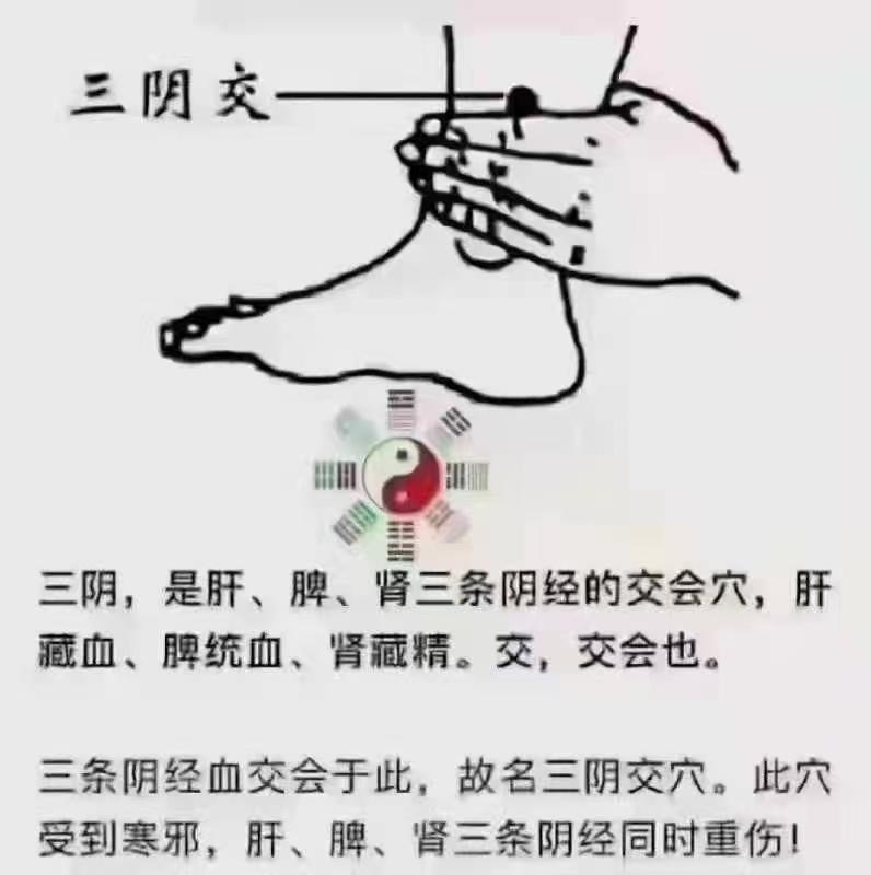 玫瑰枸杞姜枣膏