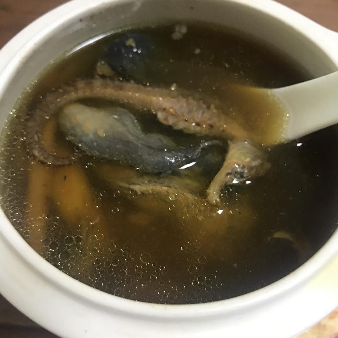 海龙海马乌鸡汤