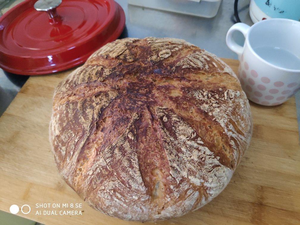 外脆内软不用揉面的乡村面包