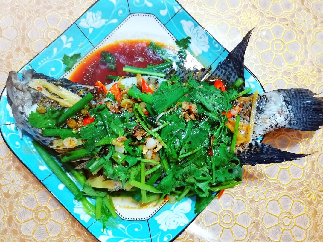 好吃到爆的清蒸花斑鱼