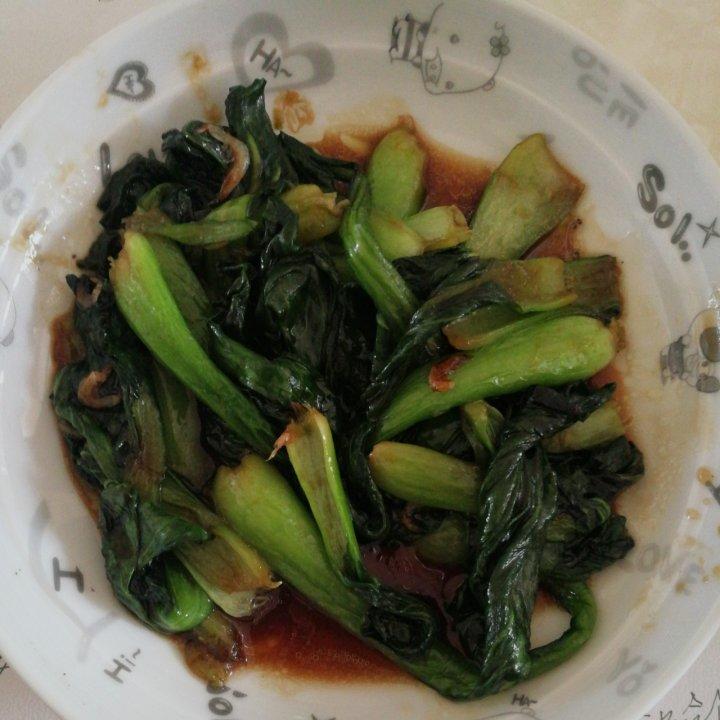 蚝油油菜