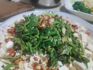 春日野菜合集——荠菜，香椿，笋的做法 步骤10