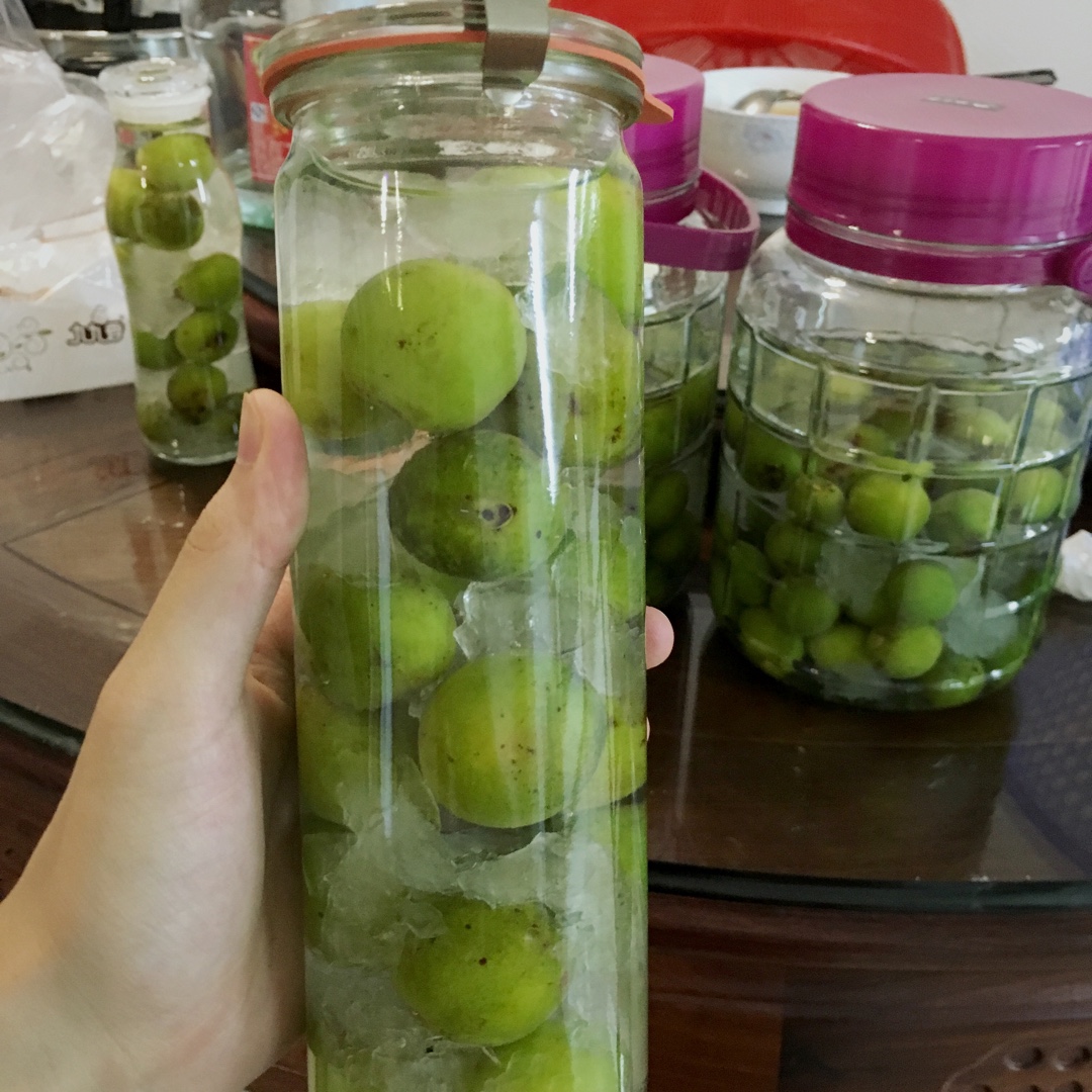 青梅酒（优的春日私酿第二話）