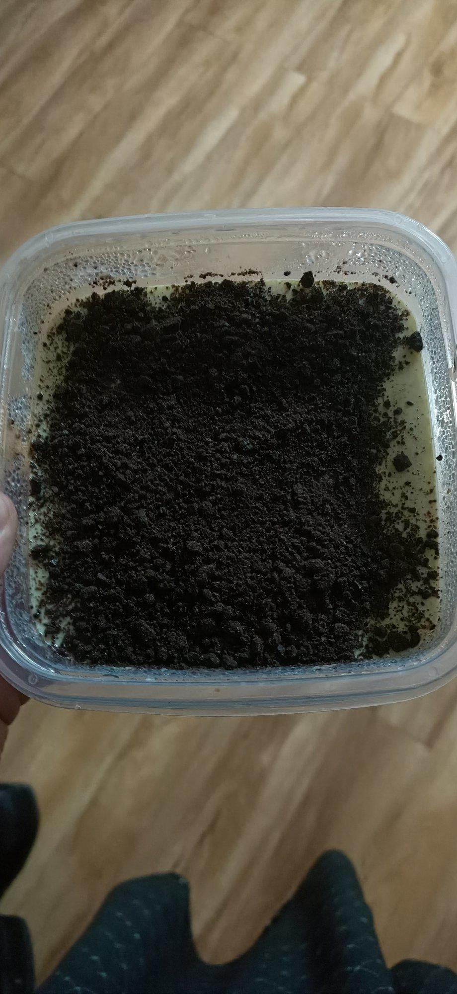 白凉粉版抹茶布丁